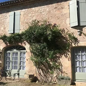 Дом отдыха Domaine De La Durantie Duplex Vieux Chateau Castelnau-de-Montmiral
